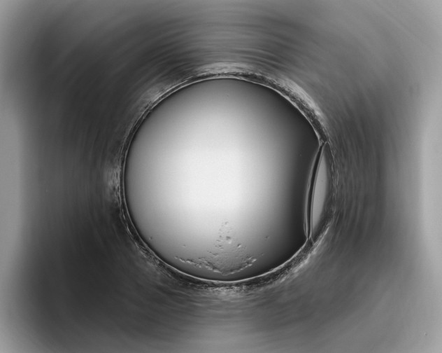 X0000095960937200801251147