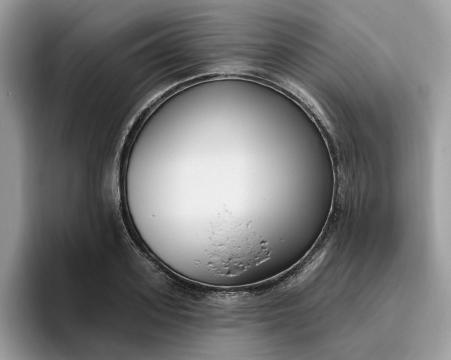 X0000095960939200801251147