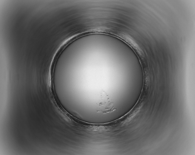 X0000095960940200801251147