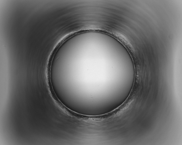 X0000095960942200801251147