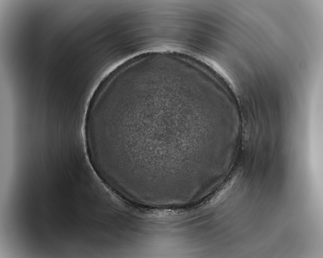 X0000095960943200801251147