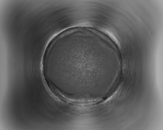 X0000095960944200801251147