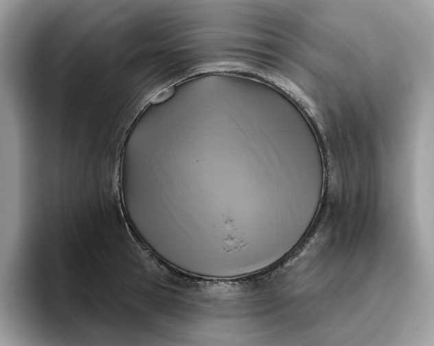 X0000095960945200801251147