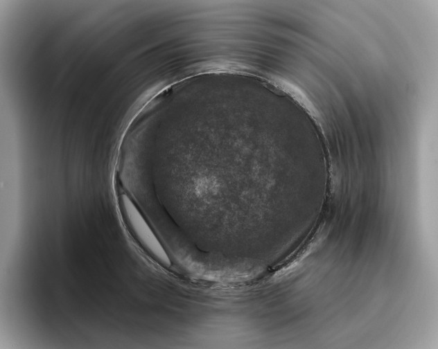 X0000095960946200801251147