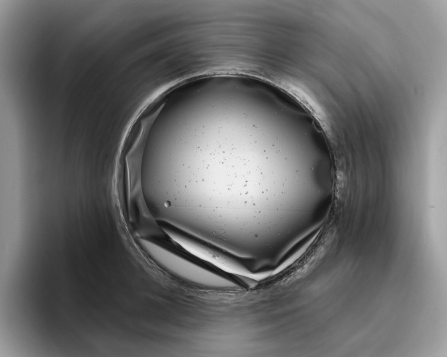 X0000095960948200801251147