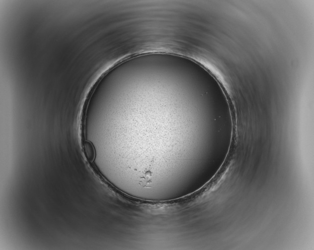 X0000095960949200801251147