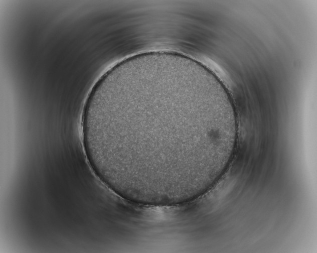 X0000095960950200801251147