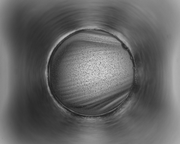 X0000095960951200801251147