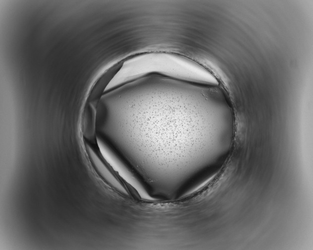 X0000095960952200801251147