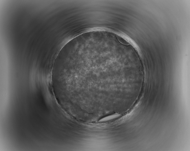 X0000095960953200801251147