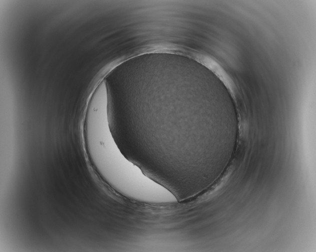 X0000095960954200801251147