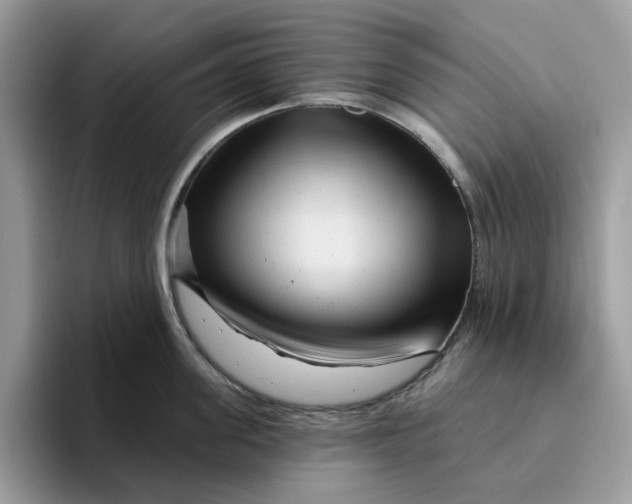 X0000095960955200801251147