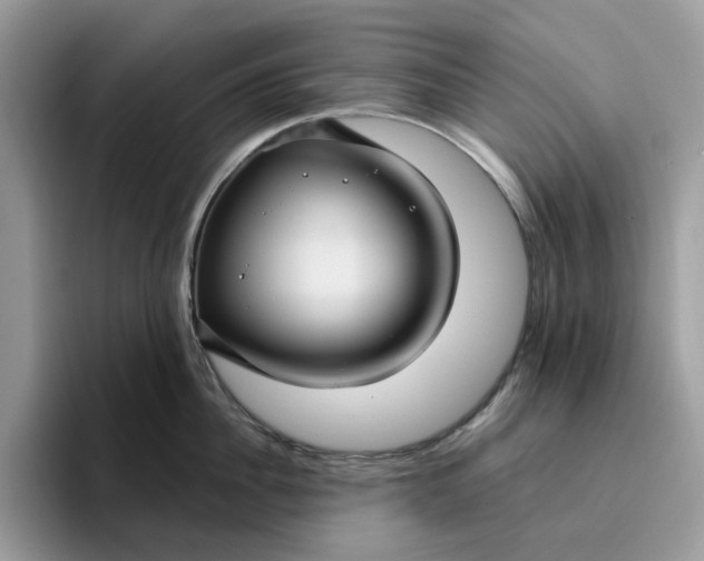 X0000095960956200801251147