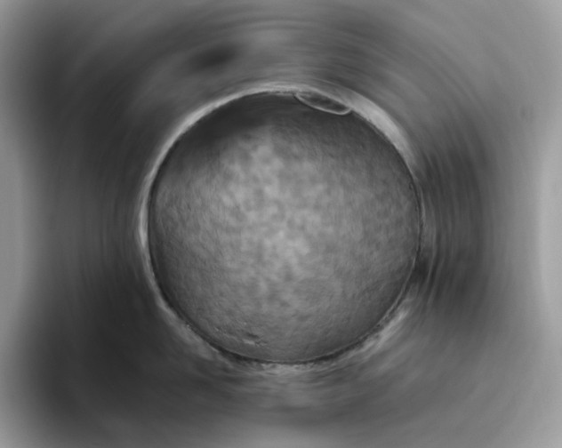 X0000095960958200801251147