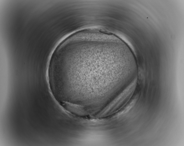 X0000095960959200801251147