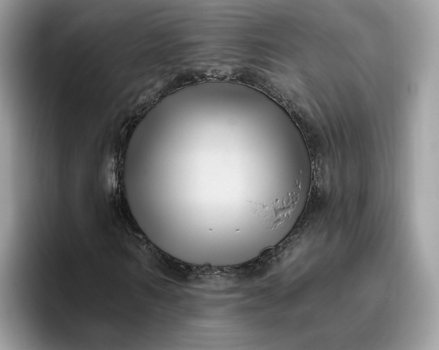 X0000095960962200801251147