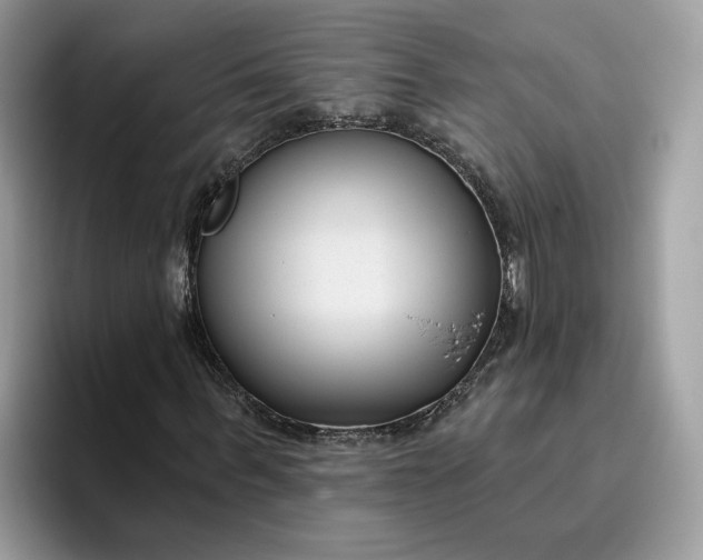 X0000095960963200801251147