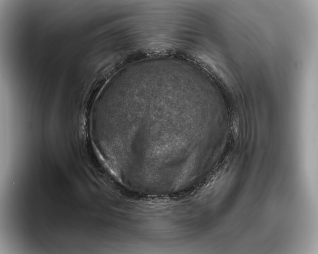 X0000095960964200801251147