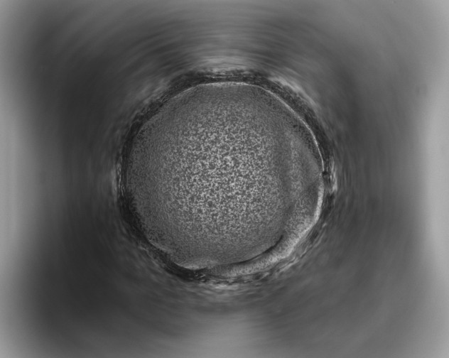 X0000095960965200801251147