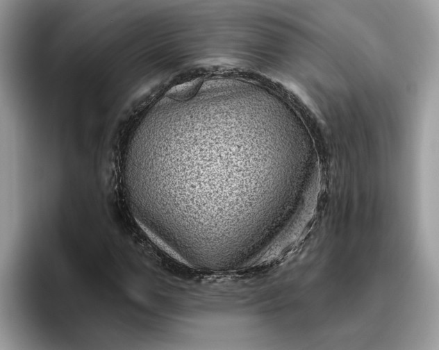 X0000095960967200801251147