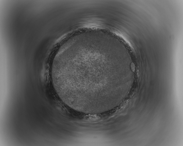 X0000095960968200801251147