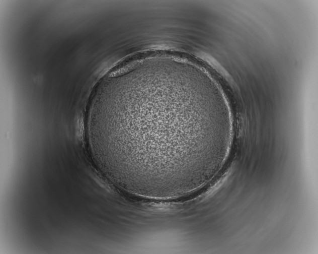 X0000095960969200801251147