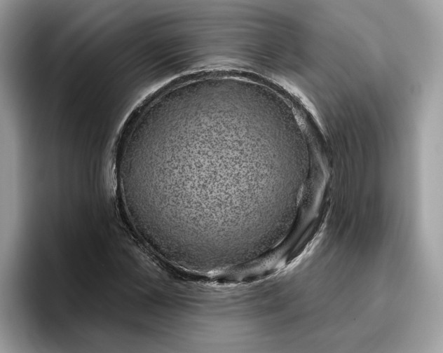 X0000095960973200801251147