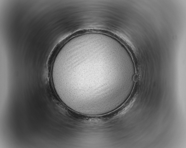 X0000095960974200801251147