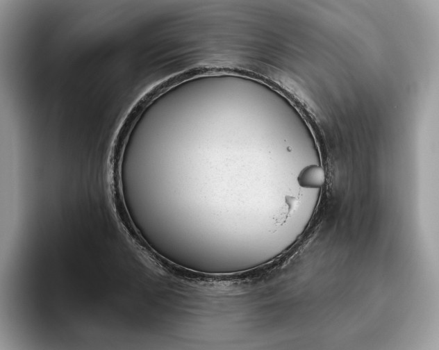 X0000095960976200801251147