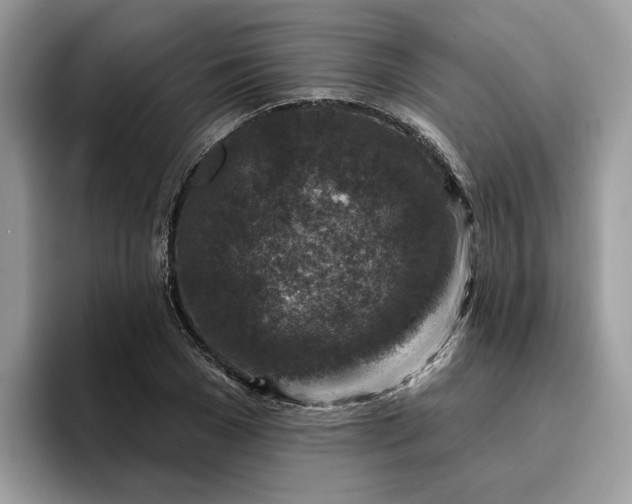 X0000095960977200801251147