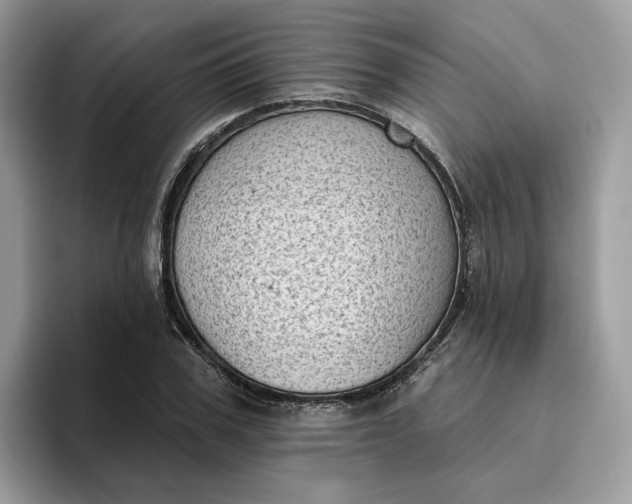 X0000095960979200801251147