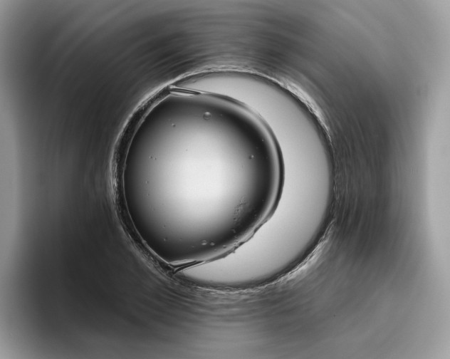 X0000095960981200801251146