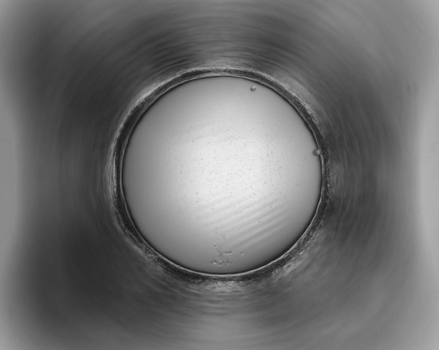 X0000095960982200801251146