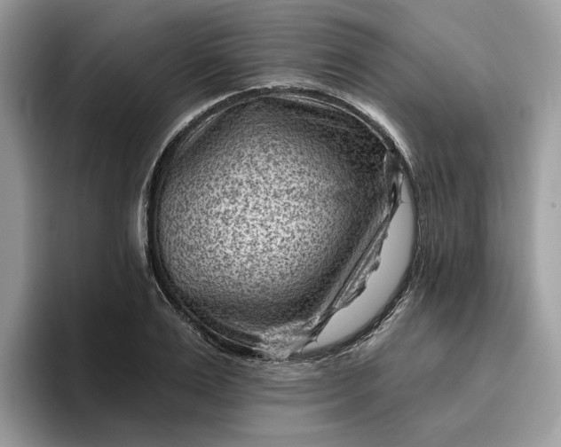 X0000095960983200801251146