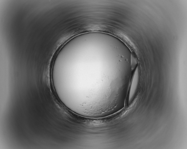 X0000095960986200801251146