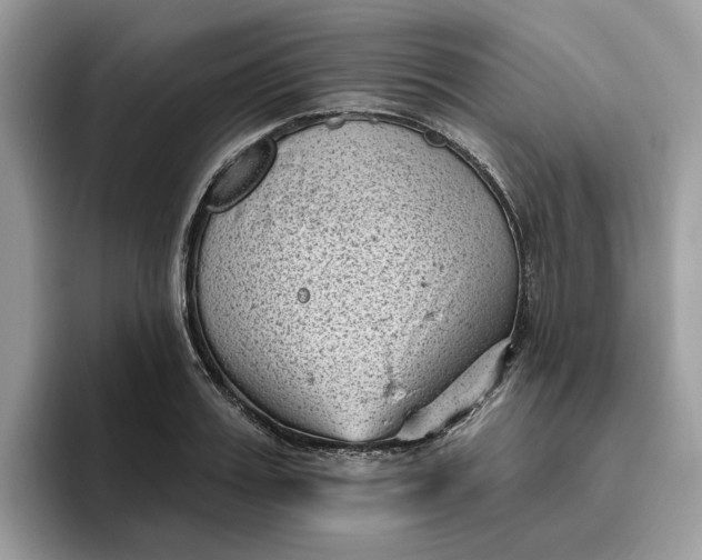 X0000095960987200801251146