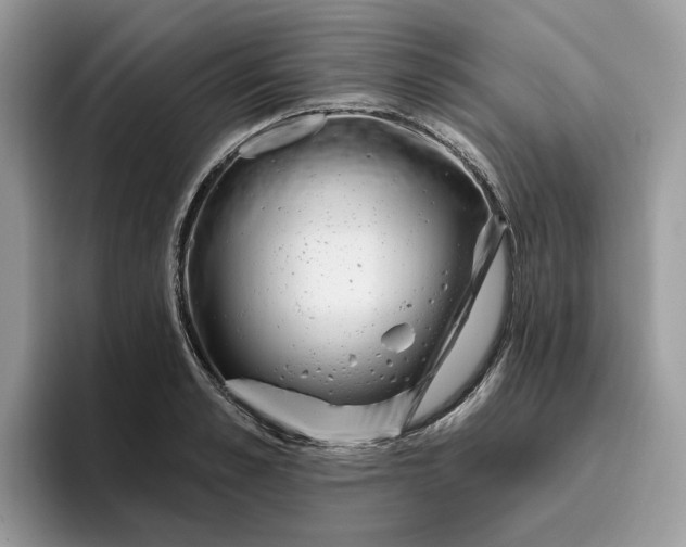 X0000095960989200801251146