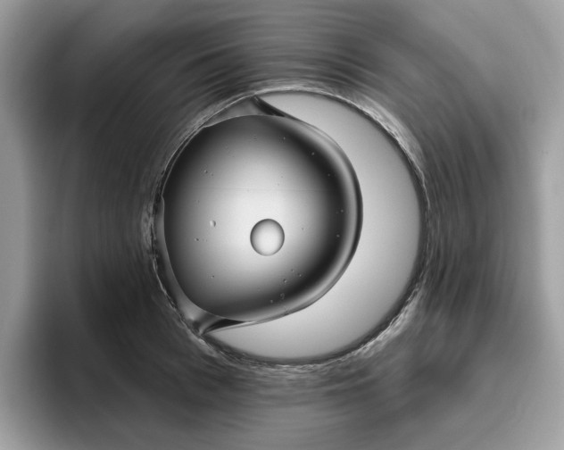 X0000095960993200801251146