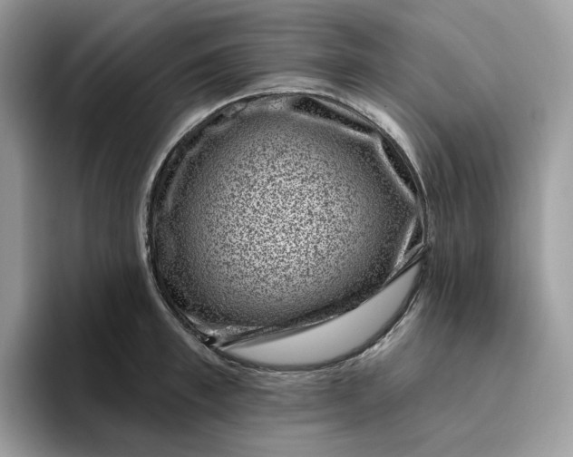 X0000095960997200801251146