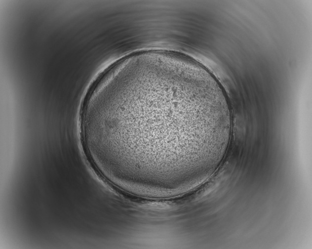 X0000095960998200801251146