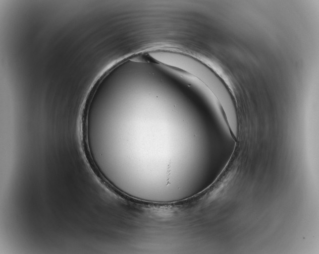 X0000095960999200801251146