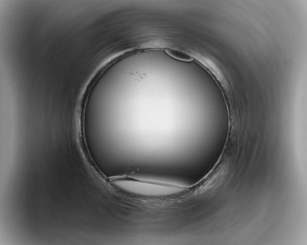 X0000095961000200801251146