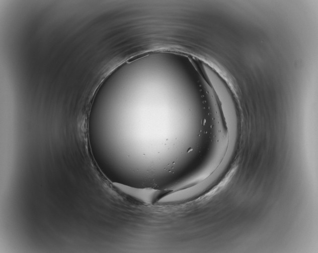 X0000095961001200801251146