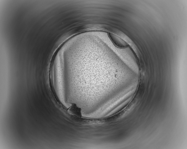 X0000095961002200801251146