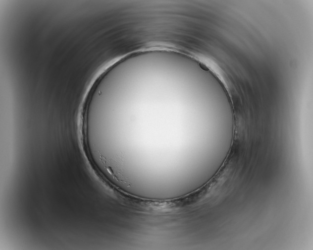 X0000095961003200801251146