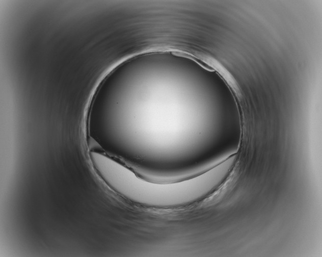 X0000095961004200801251146