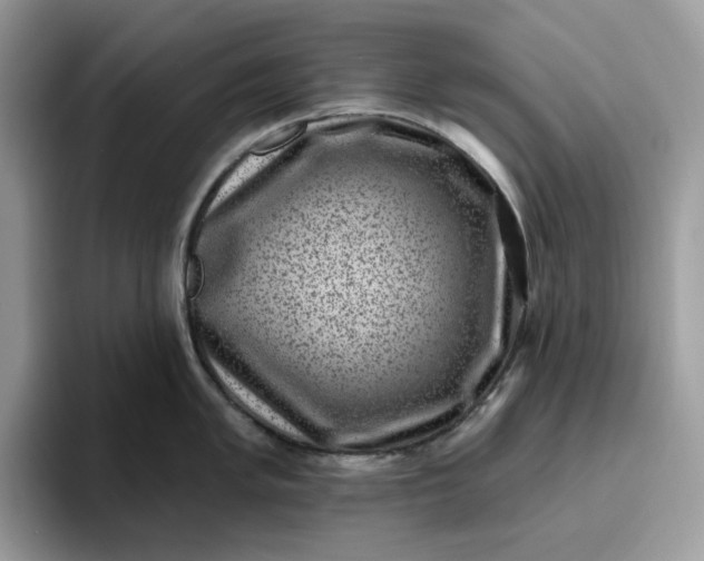 X0000095961005200801251146