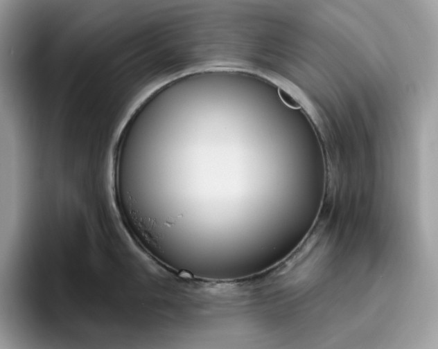 X0000095961006200801251146