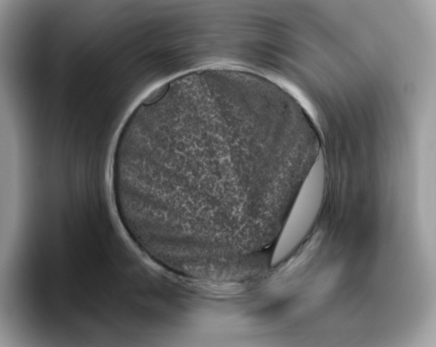 X0000095961007200801251146