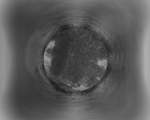 X0000095961009200801251146